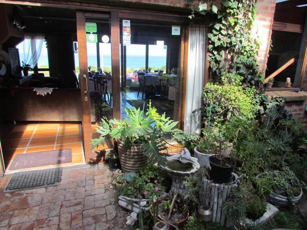 ستروزباي Oceanview Guesthouse المظهر الخارجي الصورة